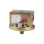 Gas Pressure Switch for Furnaces, SPDT, 1/8" F & 1/4" M, Visible Set Point