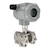 Smart Differential Pressure Transmitter, HART®, customizable