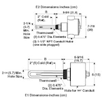 Stainless Steel Immersion Heater 2 in NPT Process Water Thermostat