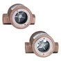 Series-SFI-100