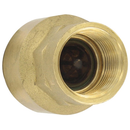 Brass inline check valve, 3/4" connection, 11.0 Cv value, weight 7.8 oz (222 g).