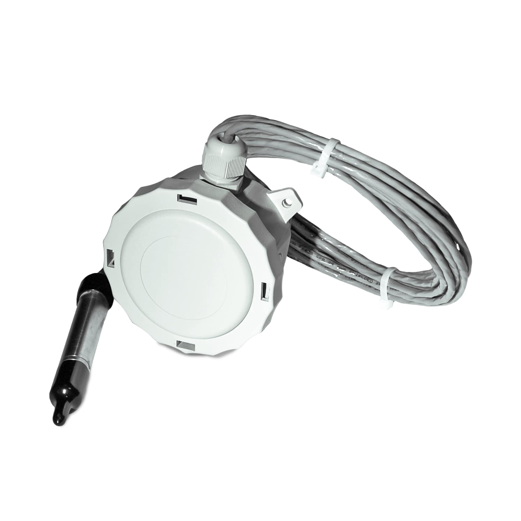 Relative Humidity Remote Probe