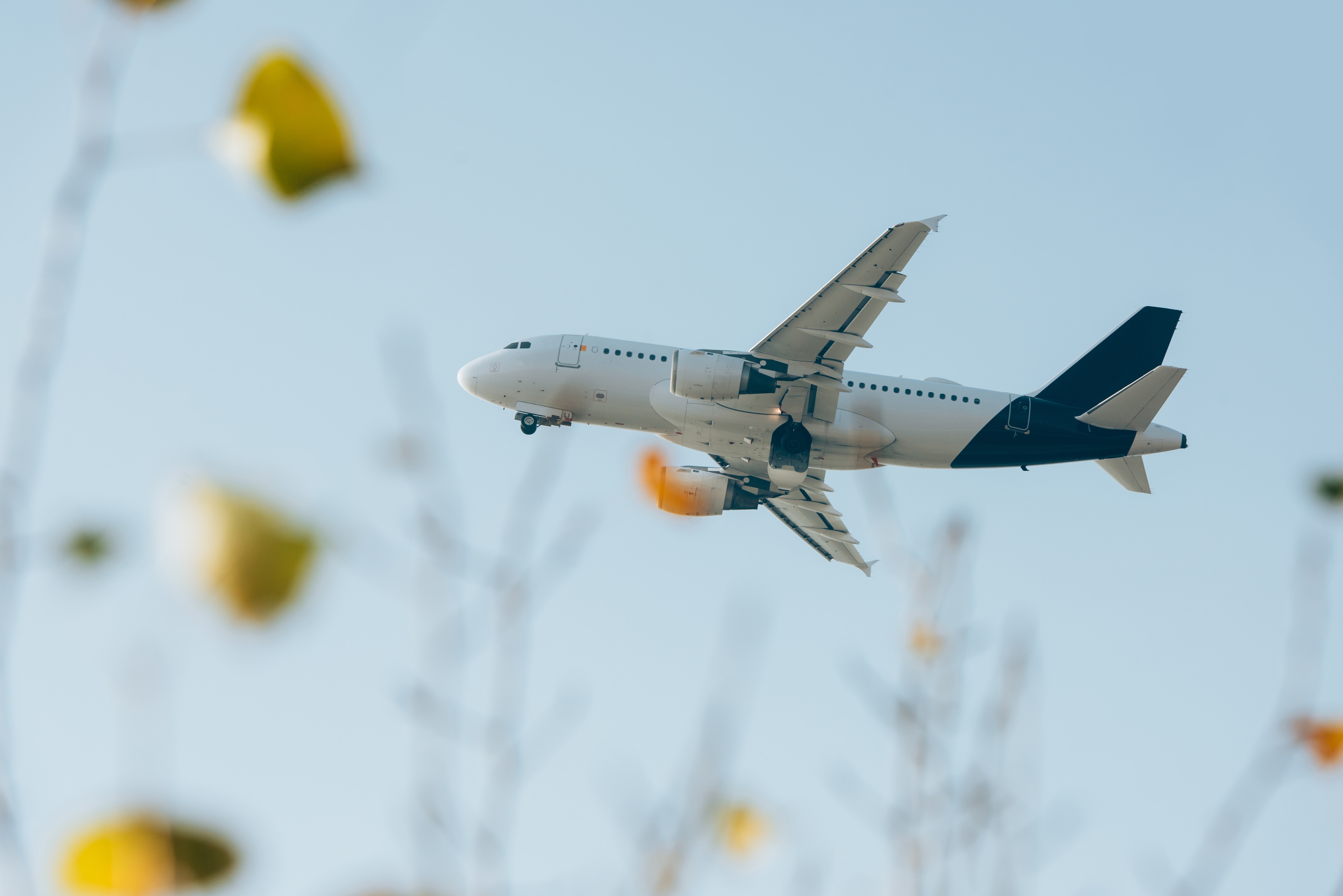 Airplane ascending into the sky