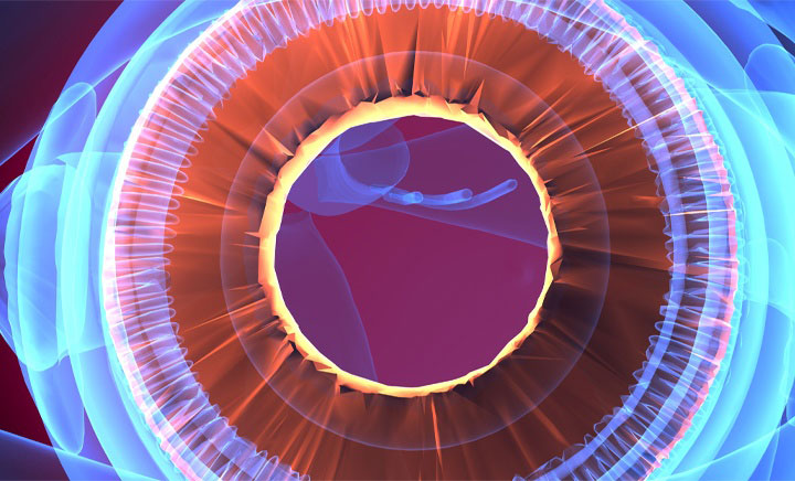 Measurement of Outflow Facility in the Eye