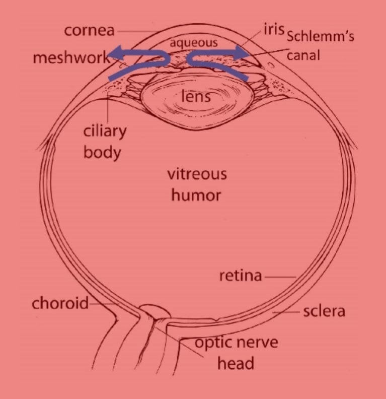 occhio
