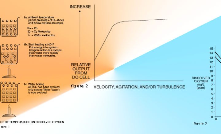 Fundamentals of pH Measurement and Dissolved Oxygen Analysis 