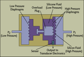 description-image-courte