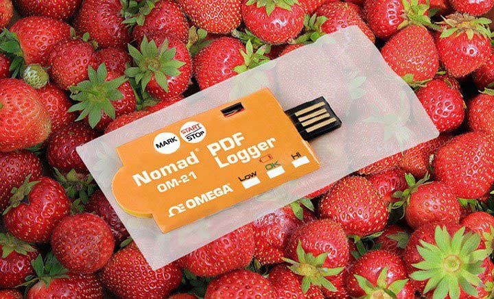 Temperature Monitoring During Transportation, Storage and Processing of Perishable Products