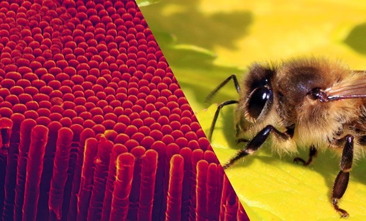 What are Nanosensors? How and Where are They Used?