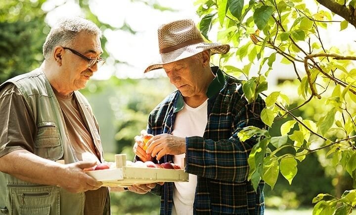 Wireless Monitoring Solution Keeps Fruit Quality High and Energy Costs Low
